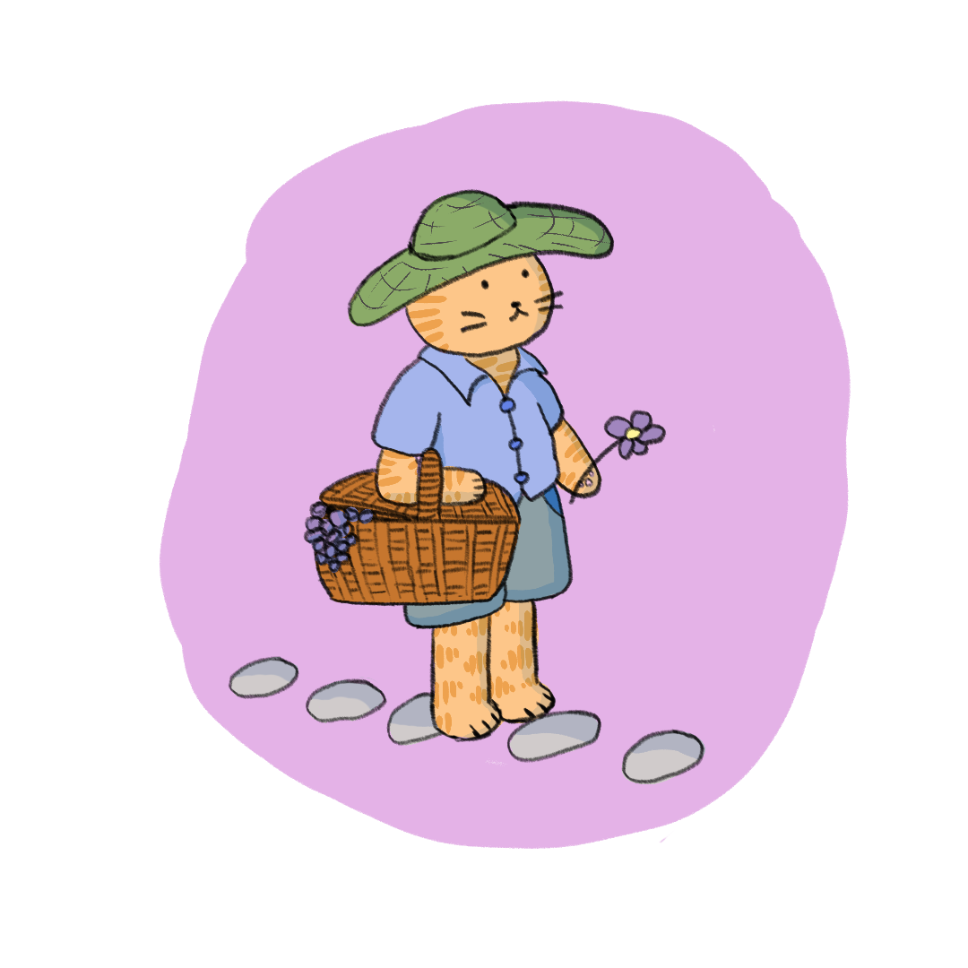 Picnic cat