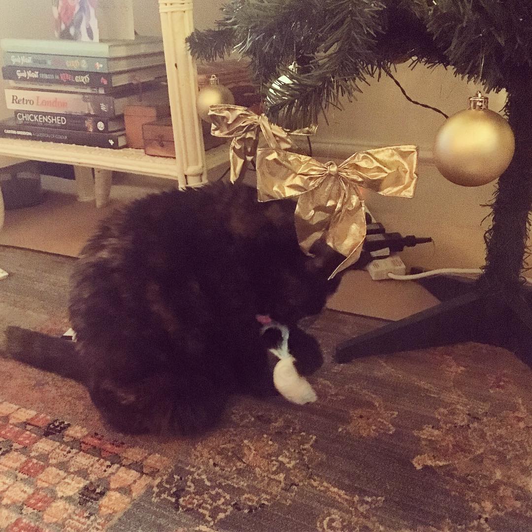 Post Image