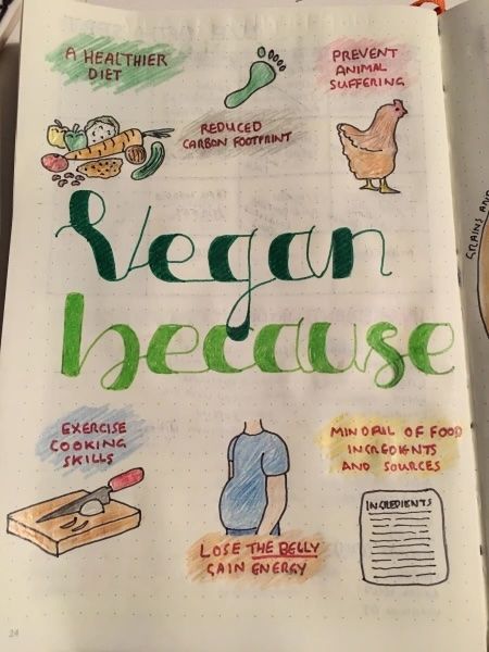 Vegan Because